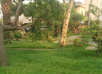 togo/mango/landmark/fauna-cultura