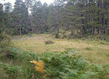 cyprus/troodos-national-forest-park/landmark/peat-grassland-of-troodos