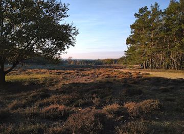 netherlands/hoge-veluwe-national-park/landmark/deelerheide-deelerwoud