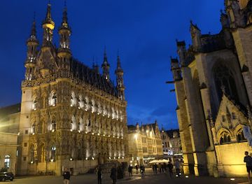 belgium/leuven/landmark/toerisme-leuven