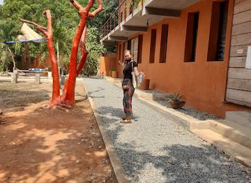 ghana/kokrobite/landmark/kokrobitey-institute