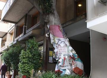 italy/palermo/landmark/albero-falcone