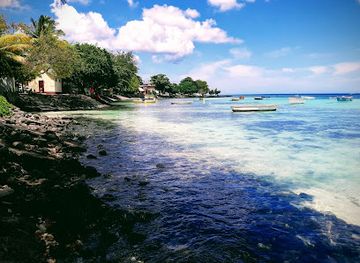 mauritius/trou-aux-biches/landmark/l-ananas