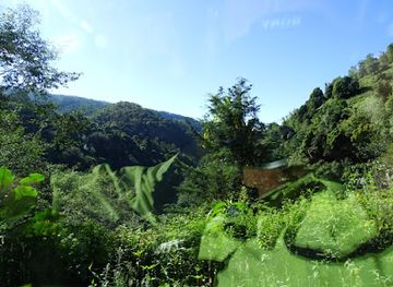 costa-rica/sarapiqui/landmark/costa-rica-best-chocolate