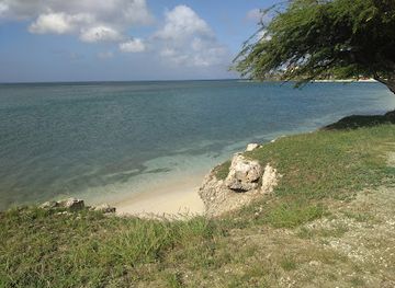 aruba/natural-pool/landmark/plaza-turismo