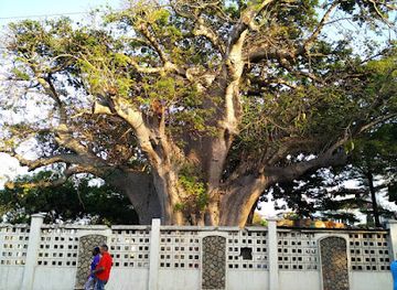 tanzania/dar-es-salaam/landmark/botanical-garden