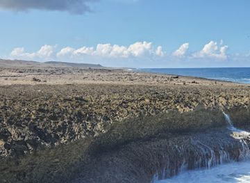 curacao/playa-porto-mari/landmark/kas-di-pal-i-maishi-kunuku-house