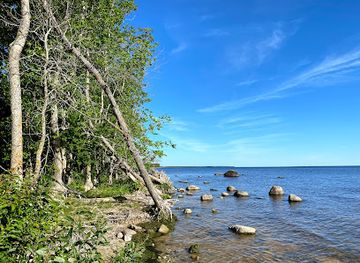 minnesota/lake-of-the-woods/landmark/zippel-bay-state-park