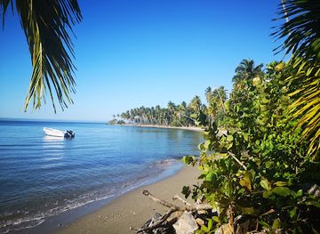 dominican-republic/las-terrenas/landmark/arena-tours