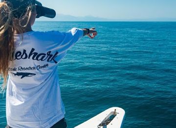 honduras/utila/landmark/whale-shark-and-oceanic-research-center