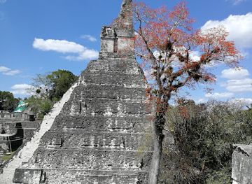 guatemala/flores/landmark/tikal-national-park