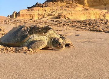 oman/ras-al-jinz/landmark/sulahf