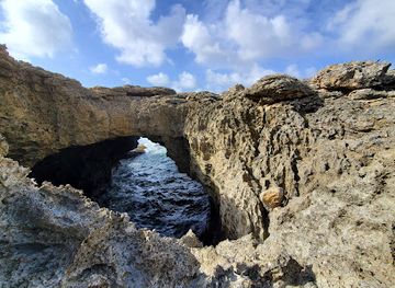 barbados/animal-flower-cave/landmark/animal-flower-cave-restaurant