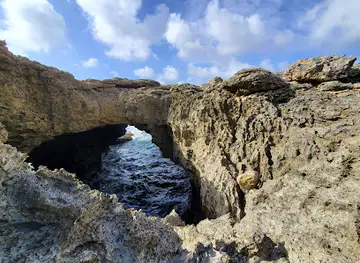 Animal Flower Cave & Restaurant