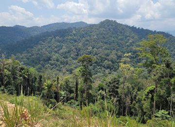malaysia/taman-negara-national-park/landmark/bukit-awan