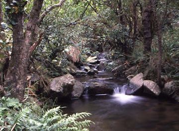new-zealand/canterbury/landmark/washpen-falls