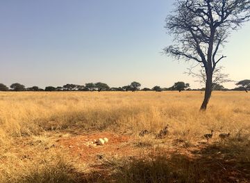 south-africa/northern-cape/landmark/benfontein-nature-reserve