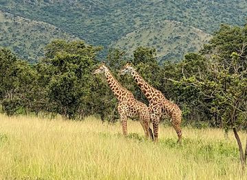 rwanda/volcanoes-national-park/landmark/kigali-atlantis-tours