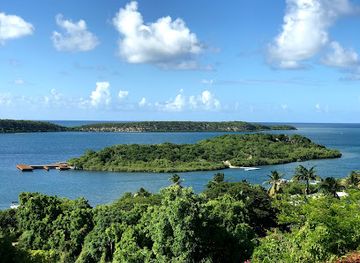 antigua-and-barbuda/barbuda/landmark/stingray-city-antigua