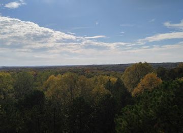 indiana/hoosier-national-forest/landmark/charles-c-deam-wilderness