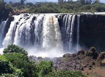 ethiopia/mago-national-park/landmark/yangudi-rassa-national-park