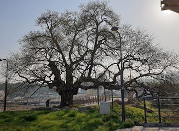 south-korea/gwangju/landmark/Suwandongwangbeodeul