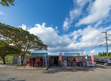 japan/okinawa/landmark/cave-okinawa