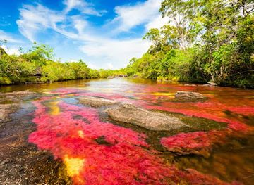 colombia/orinoquia/landmark/cano-cristales
