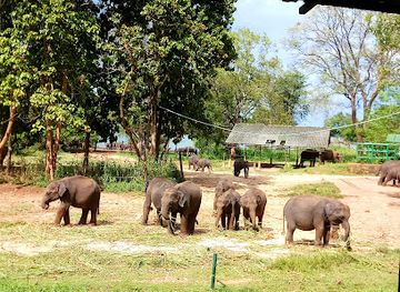 sri-lanka/udawalawe-national-park/landmark/udawalawe-park-safari