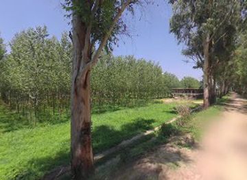 india/punjab/landmark/pre-wedding-area