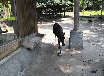 czechia/svaty-kopecek/landmark/olomouc-svaty-kopecek-zoo