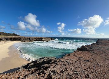 aruba/pos-chiquito/landmark/the-shack-aruba