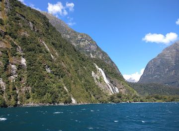 new-zealand/milford-sound/landmark/milford-deep-underwater-observatory