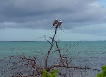 turks-and-caicos-islands/providenciales/landmark/kimcha-village-bird-sanctuary