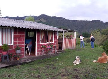 colombia/cocora-valley/landmark/valle-de-las-cecropias