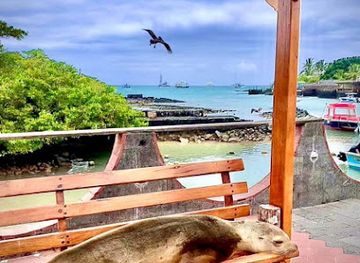 ecuador/puerto-ayora/landmark/galarous-island-apartments