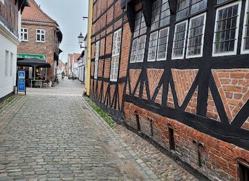 denmark/ribe/landmark/jacob-a-riis-museum