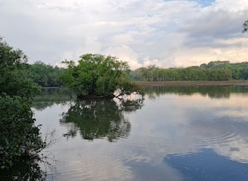 singapore/sungei-buloh-wetland-reserve/landmark/main-bird-observation-hide-1a