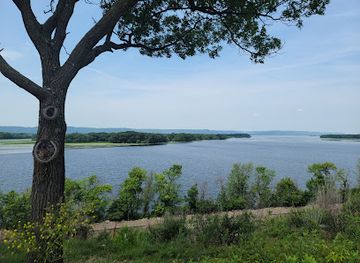 wisconsin/la-crosse/landmark/sunny-the-sunfish