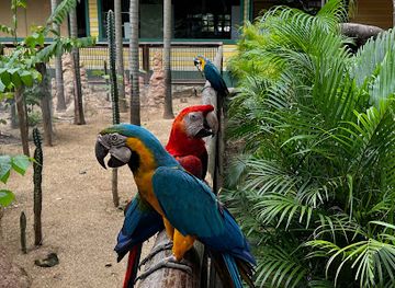 colombia/cartagena/landmark/port-oasis-eco-park