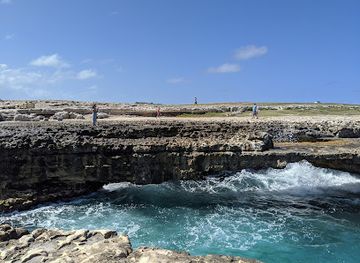 antigua-and-barbuda/devil-s-bridge/landmark/stingray-city-antigua