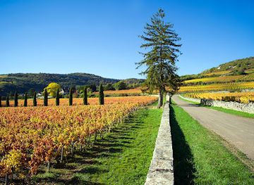 france/burgundy-vineyards/landmark/chateau-de-la-cree