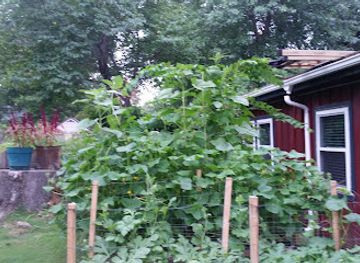 arkansas/grand-prairie/landmark/hindman-hall-museum