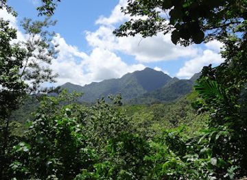saint-lucia/pitons/landmark/millet-bird-sanctuary-and-nature-trail