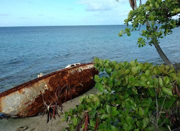 puerto-rico/vieques-island/landmark/fun-brothers-rentals-bio-bay-vieques