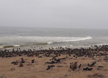 namibia/walvis-bay/landmark/sandwich-dune-tours-and-safari