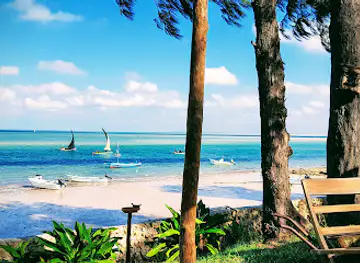 Dolphin Dhow Accommodation And Dhow Safaris