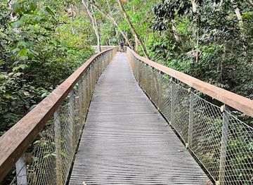 singapore/macritchie-reservoir/landmark/macritchie-treetop-walk-trailhead