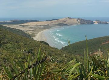 new-zealand/west-coast/landmark/stonehenge-aotearoa