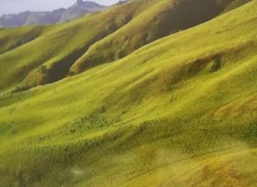 saudi-arabia/jeddah/al-andalus/landmark/tahlia-landmark